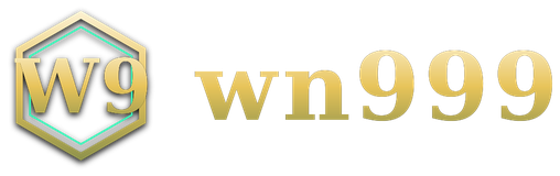 wn999 logo